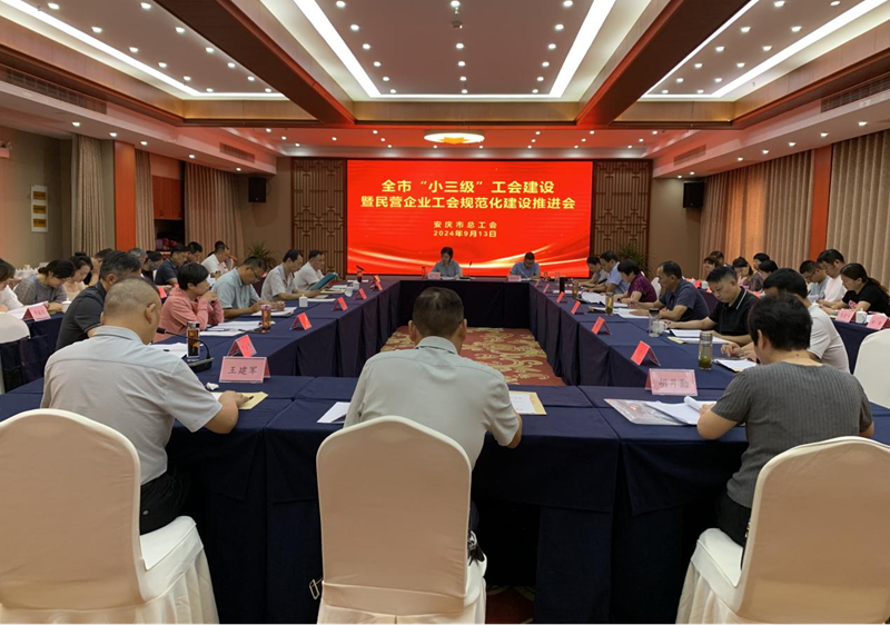 安慶市總工會(huì)召開(kāi)“小三級(jí)”工會(huì)建設(shè)暨民營(yíng)企業(yè)工會(huì)規(guī)范化建設(shè)推進(jìn)會(huì)
